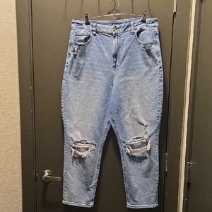 American Eagle Outfitters Light Blue Distressed Cropped Jeans